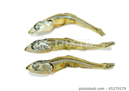 Anchovy sardines Anchovy sardines 65279179