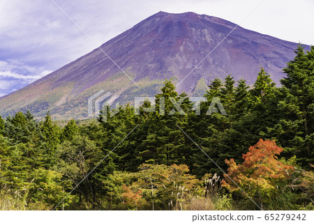 (靜岡縣)從西塚看紅的富士山 (靜岡縣)從西塚看紅的富士山 65279242