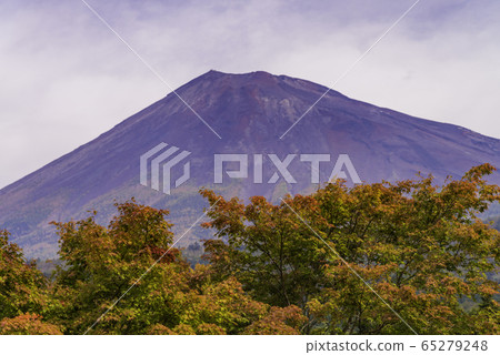 (靜岡縣)從西塚看紅的富士山 (靜岡縣)從西塚看紅的富士山 65279248