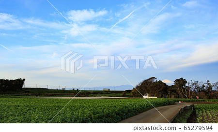 Field (winter) Field (winter) 65279594