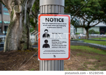 New Singapore Coronavirus Countermeasure Paper New Singapore Coronavirus Countermeasure Paper 65280546