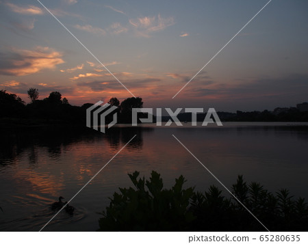 茨城縣水戶市千葉湖的夜景 65280635