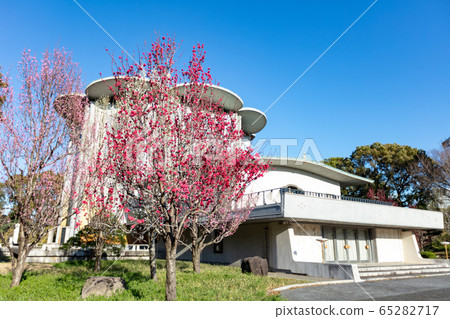 The Mother of the Imperial Palace East Garden 65282717