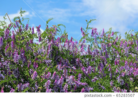 楔子和藍天 65283507