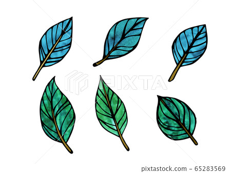 Leaf handwritten illustration 65283569