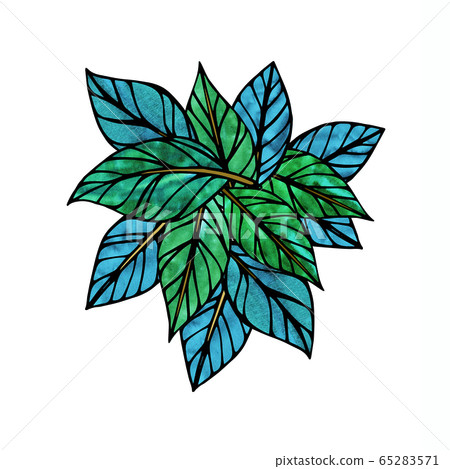 Leaf handwritten illustration Leaf handwritten illustration 65283571