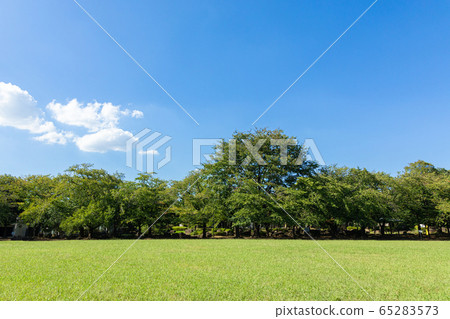 blue sky and green blue sky and green 65283573