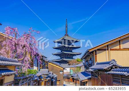 京都春天八坂塔(Hokanji寺) 京都春天八坂塔(Hokanji寺) 65283935