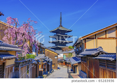 京都春天八坂塔(Hokanji寺) 京都春天八坂塔(Hokanji寺) 65283936