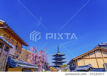 京都春天八坂塔(Hokanji寺) 京都春天八坂塔(Hokanji寺) 65283937