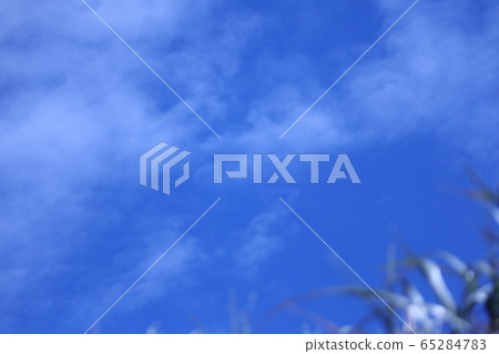 藍天草藍雲複製空間千里濱海岸白井市石川縣 65284783