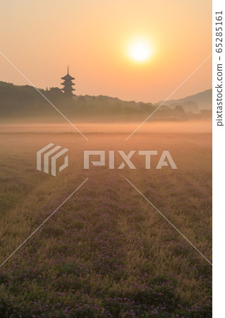 Okayama_Scenic view of lotus field and Kokubunji five-storied pagoda 65285161