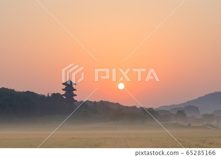 岡山_蓮花田和國分寺五層寶塔的風景 岡山_蓮花田和國分寺五層寶塔的風景 65285166