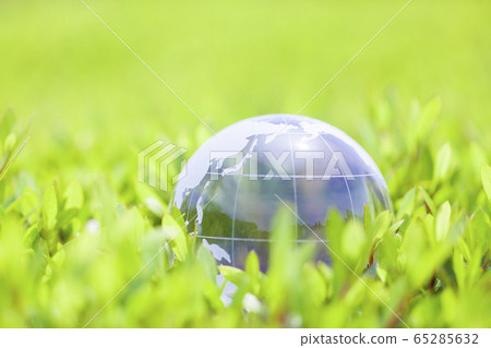 Green leaves and the globe 65285632