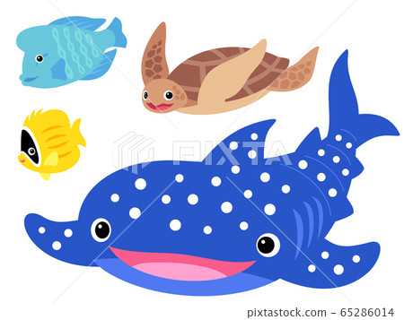 游泳海洋生物的插圖集(鯨鯊、海龜、熱帶魚) 游泳海洋生物的插圖集(鯨鯊、海龜、熱帶魚) 65286014