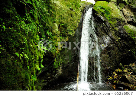 Saga Falls [Takanoguchicho, Hashimoto City, Wakayama Prefecture] 65286067