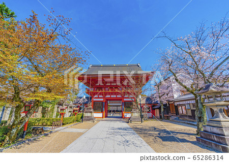 京都八坂神社南龍門 65286314
