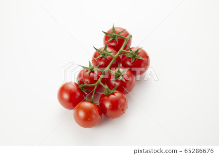 Tufted tomato 65286676