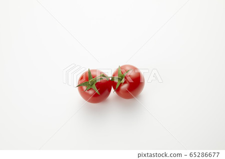 Tufted tomato 65286677