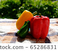 Paprika 65286831