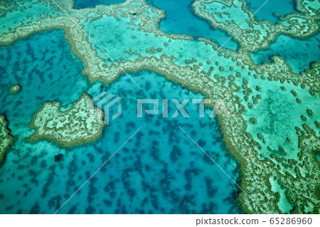 [Australia] Great Barrier Reef 65286960