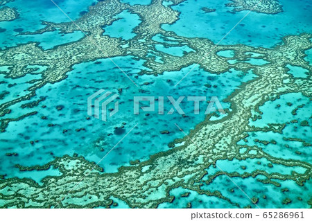 [Australia] Great Barrier Reef 65286961
