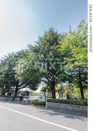 鹿沼公園/入口 65287495