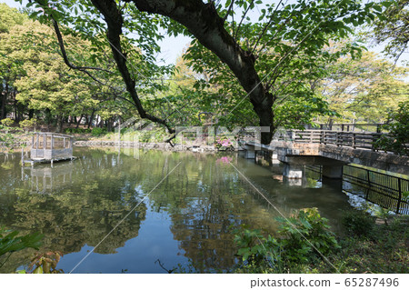 鹿沼公園 65287496