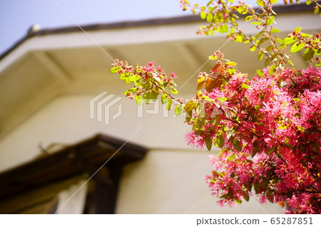 Old private house in spring 65287851