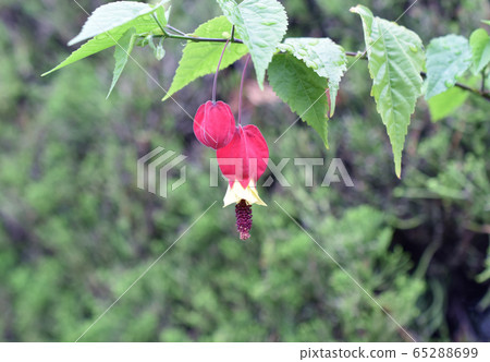 Abtilon Abtilon 65288699