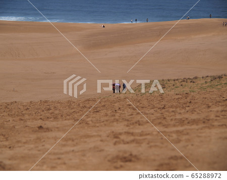 At Tottori sand dunes 65288972