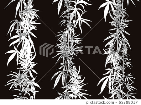 Hemp, Cannabis seamless pattern, background. Hemp, Cannabis seamless pattern, background. 65289017