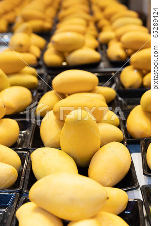 Hong Kong _ Shilong Street Fruit and Vegetable Market 65289424