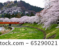 A row of cherry blossom trees on the bank of the Hinokinai River / Semboku City, Akita Prefecture 65290021