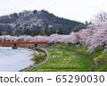 A row of cherry blossom trees on the bank of the Hinokinai River / Semboku City, Akita Prefecture 65290030