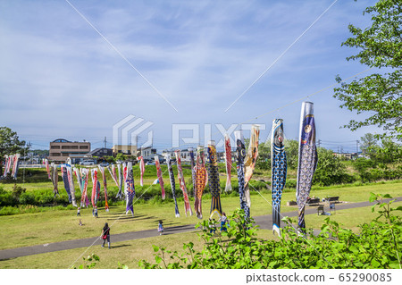 Carp streamers in Yada River, Aichi Prefecture Carp streamers in Yada River, Aichi Prefecture 65290085