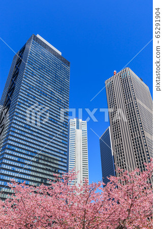 新宿_櫻花和摩天大樓的絕妙景色 新宿_櫻花和摩天大樓的絕妙景色 65291904