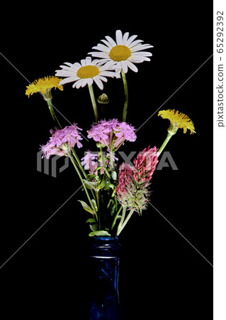 Ikebana of wild grass (black background) Ikebana of wild grass (black background) 65292392