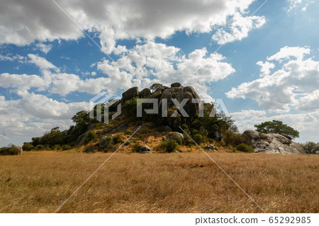 A giant rock in the endless plains of Serengeti, Tanzania A giant rock in the endless plains of Serengeti, Tanzania 65292985