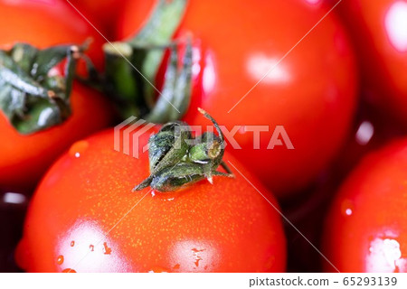 Tomato mini tomato Tomato mini tomato 65293139