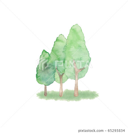 一排樹，材料 65293834