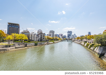 櫻花盛開的和平紀念公園和原爆圓頂周圍的廣島街道 櫻花盛開的和平紀念公園和原爆圓頂周圍的廣島街道 65293966