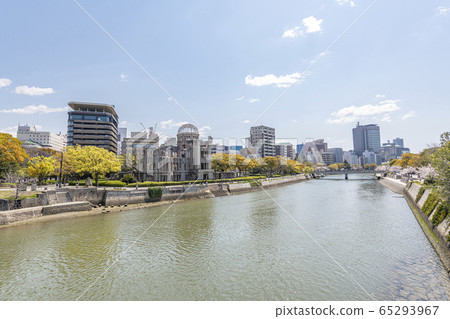 櫻花盛開的和平紀念公園和原爆圓頂周圍的廣島街道 65293967