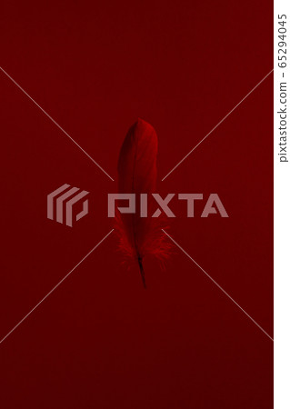 Single fragile delicate red feather on bright 65294045