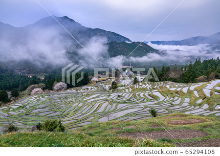 Maruyama Senjita in the early morning 65294108