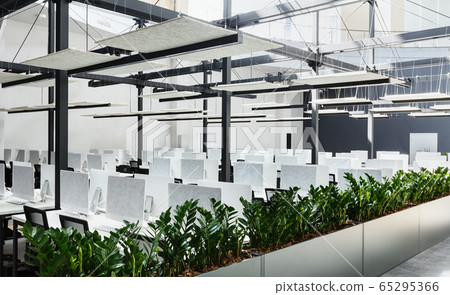Modern office interior with green plants and computers 65295366