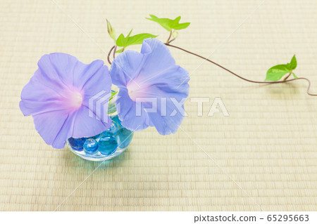 牽牛花日式房間 牽牛花日式房間 65295663