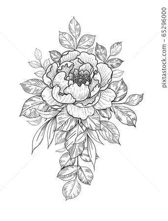 Hand Drawn Floral Bunch with Flower and Leaves Hand Drawn Floral Bunch with Flower and Leaves 65296000
