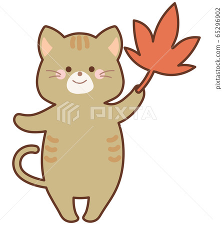 楓樹葉的貓在秋天的顏色 65296902