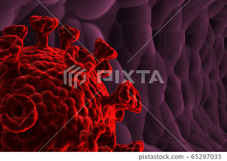 An illustration showing a coronavirus in the human body. 65297035